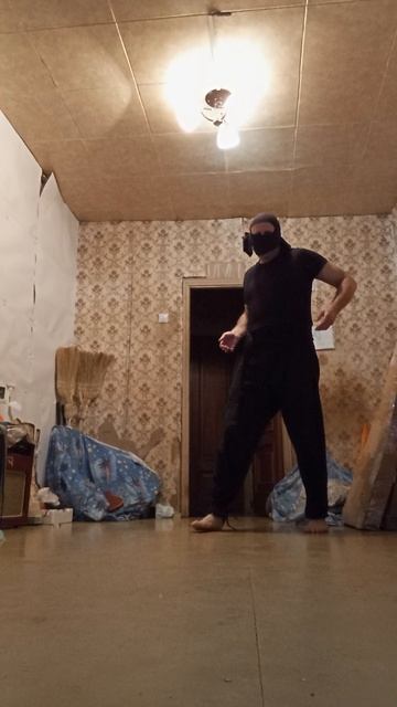 LAVINA AVALANCE STORMY NINJA: REALIES. MIRACLES. WONDERS/ЛАВИНА БУРНОШТОРМА НИНДЗЯ: ЯВИ. ЧУДА. ДИВАI