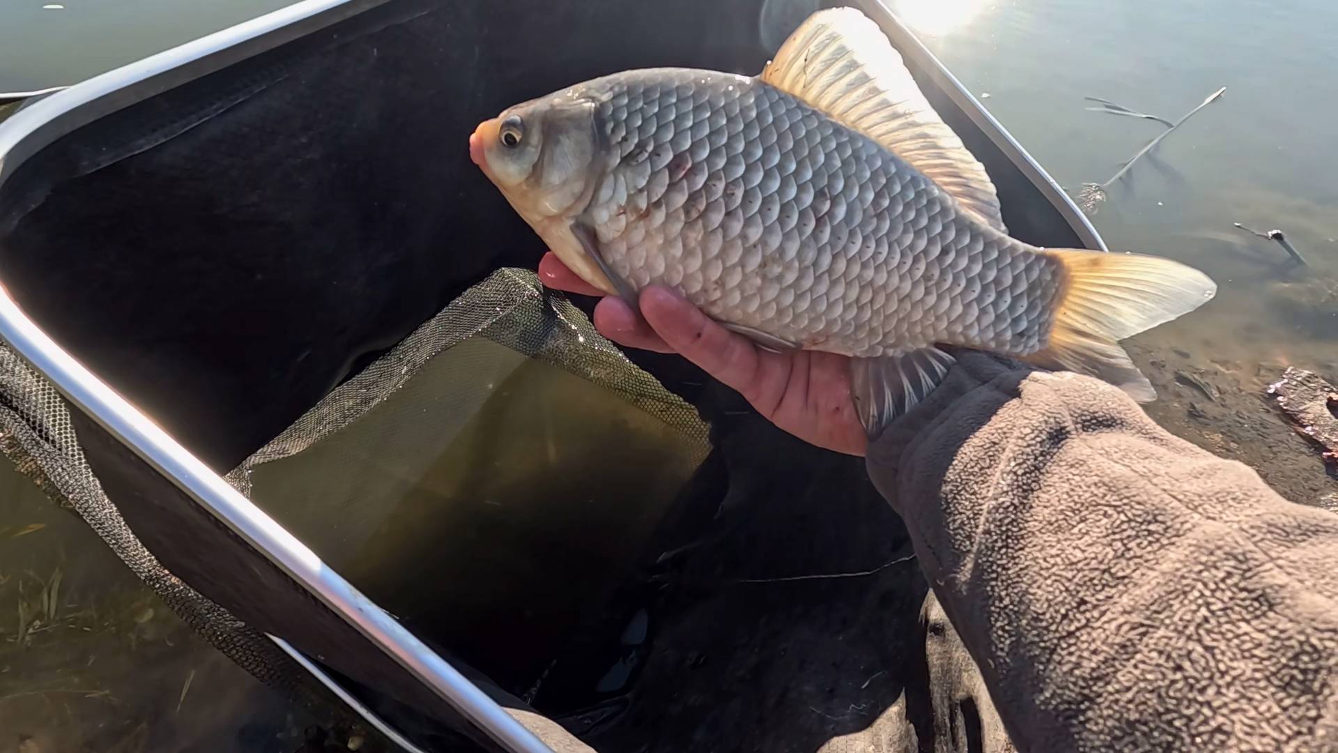 Тут рыба ловится хорошо, есть и карась, карп, лещ смотреть онлайн