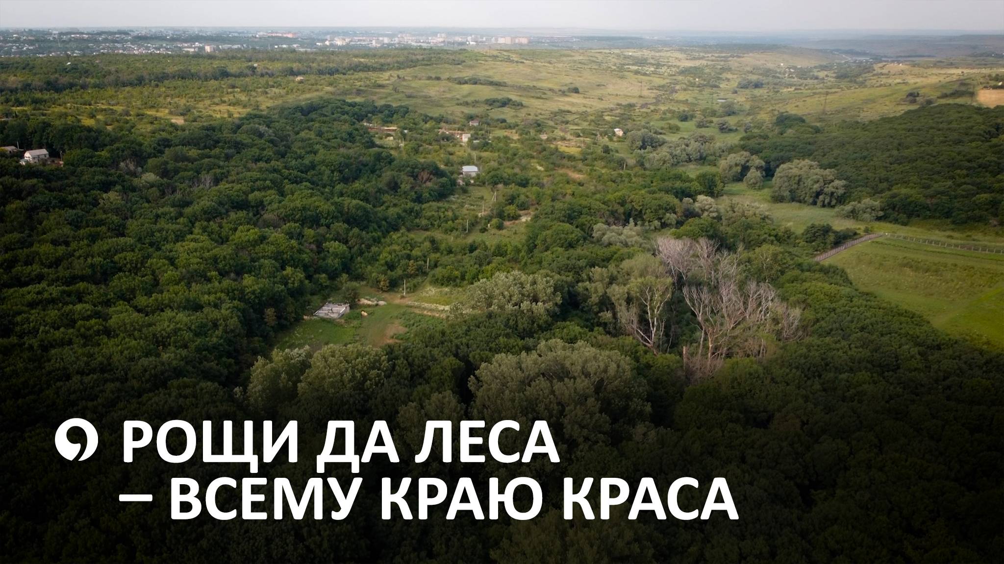 Стратегия сохранения природного достояния Ставрополья смотреть онлайн