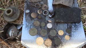 Выкосили монетное место! Выкопал царскую прягу! КОП МОНЕТ 2025