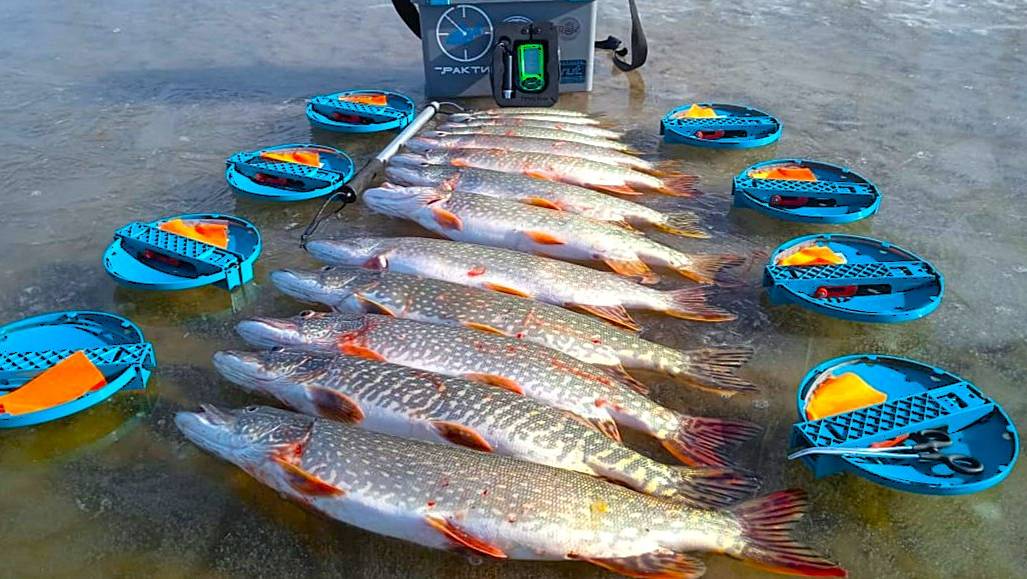 ПЕРВЫЙ ЛЁД 2025-26 ОТКРЫТ! ЖАРА НАЧАЛАСЬ! ЩУКА ЕСТ КАК НЕ В СЕБЯ!!! Только успевай ЖИВЦА ПОДАВАТЬ!