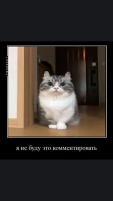 Я не буду это комментировать 😑