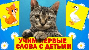 УЧИМСЯ ГОВОРИТЬ - ТЕХНОЛОГИЯ ЗАПУСКА РЕЧИ - ЗВУКОПОДРАЖАНИЯ ДЛЯ МАЛЫШЕЙ