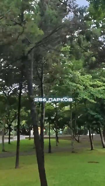 Шэньчжэнь - город небоскрёбов за 45 лет #Shorts смотреть онлайн