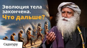 От рыбы до Будды: тайна, о которой наука молчит