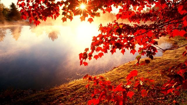 ГОЛУБКИ🔥(Вавян и Белые Тени)🔥🔥🔥 смотреть онлайн