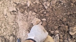 0608 / Летний коп / Немного медных монет / Поиск монет и кладов с XP Deus 2