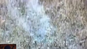 Сначало выкупили ВСУшников из норы, а потом обезвредили