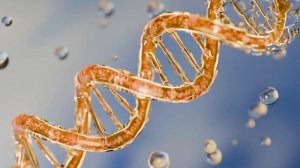 Любой Недуг Боится Этого Звука! ☀️ Матрица Гаряева для Очистки ДНК☀️ Регенерация Всего Тела