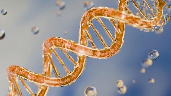 Любой Недуг Боится Этого Звука! ☀️ Матрица Гаряева для Очистки ДНК☀️ Регенерация Всего Тела