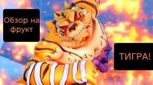 Обзор на фрукт Тигра в Блокс Фрукт