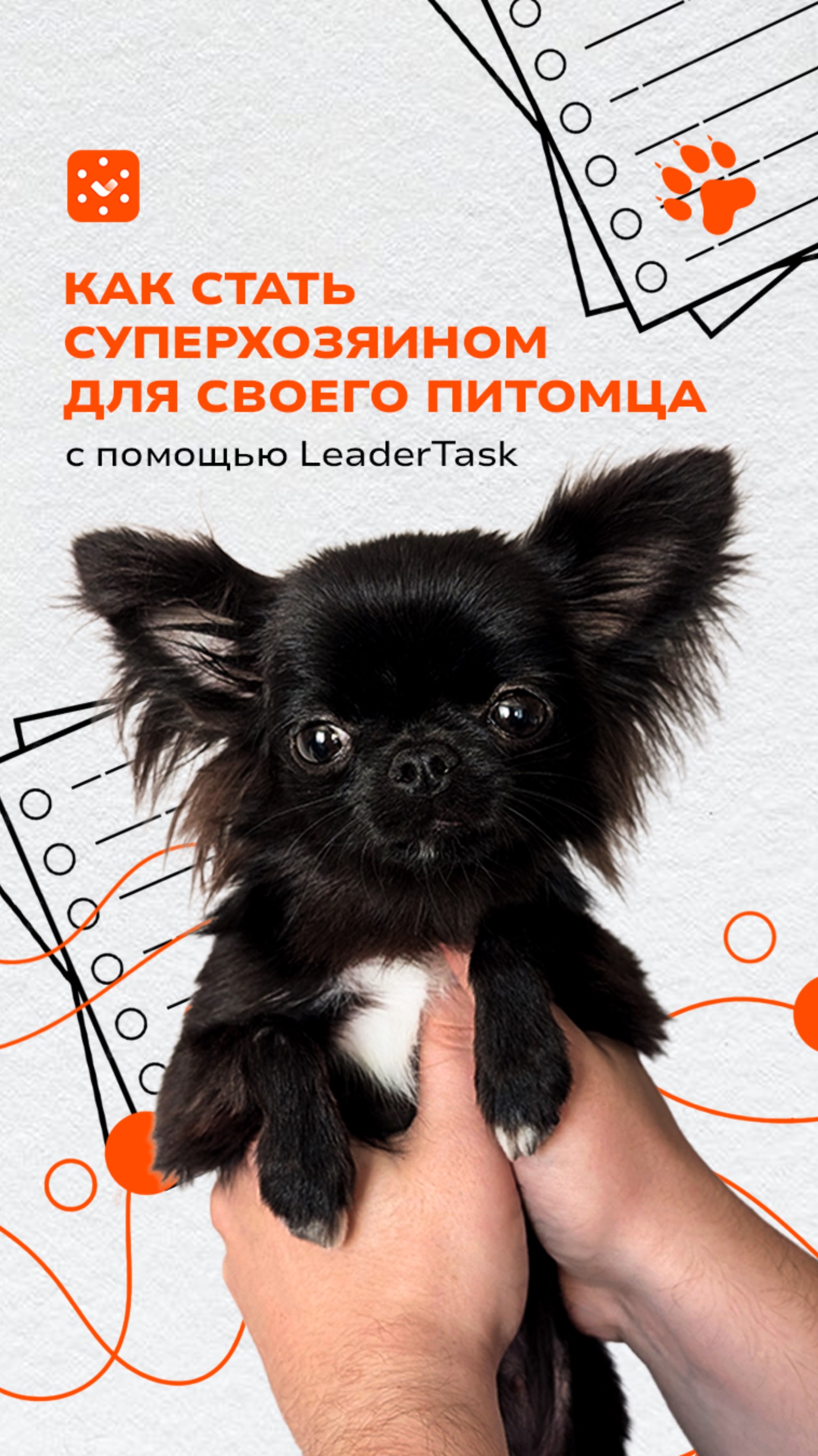 Как стать суперхозяином для своего питомца смотреть онлайн
