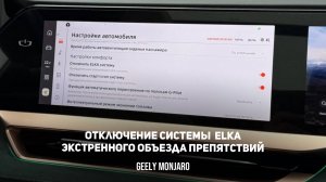 Отключаем на зиму!  ELKA Система экстренного объезда препятствий Джили Монжаро/ Geely Monjaro