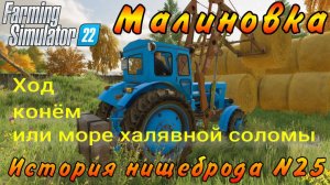 Farming Simulator 22. Малиновка. История нищеброда №25. Ход конём или море халявной соломы.
