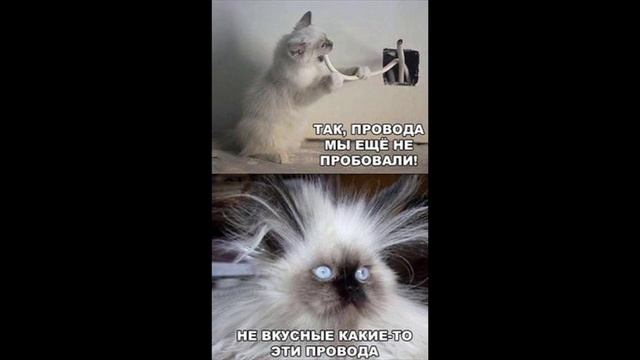 Разговоры с коллекторами 101 смотреть онлайн