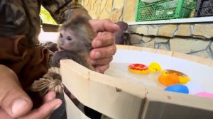 Папа Влад купает малышей Анфису и Финика, Анфиса учит Финю как нужно истерить чтобы не купали)