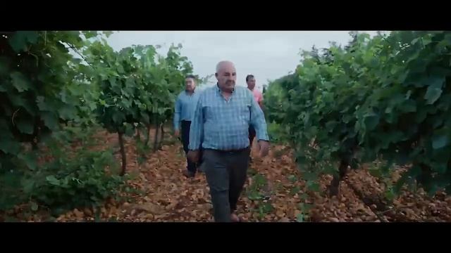 Поля, коровы и топ-хит: как сельское хозяйство зазвучало в ритмах чартов для Argoseguro смотреть онлайн