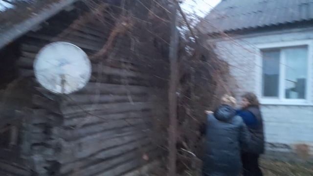 За виноградом Шурпа