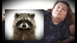 Продолжаем наблюдение за Монтян... Новый этап...Вторая часть.