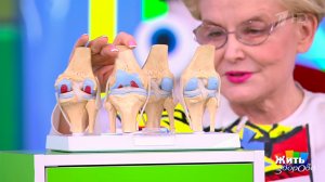 Устав от суставов? Как их защитить, когда все против них? Жить здорово! Фрагмент выпуска от 31.10...