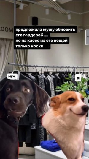 Так всегда 😂