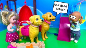 Я СТАЛ ПОНИМАТЬ СОБАК🐶😲 Катя и Макс веселая семейка! Куклы Барби истории ЛОЛ ДАРИНЕЛКАТВ