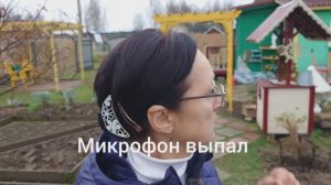 Видео привет с 6 соток 29 октября 2025 года