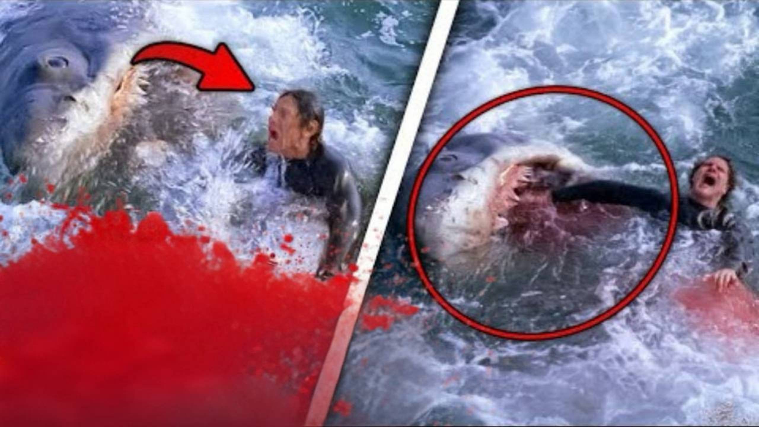 АКУЛЫ СЪЕЛИ СЕМЬЮ В МАШИНЕ У БЕРЕГОВ АВСТРАЛИИ смотреть онлайн