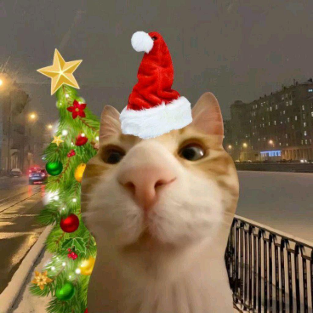 тикокььтодт