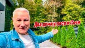 А хотите каждый день ходить за грибами в Сочи ? Свой дом у леса в Сочи рядом со школой