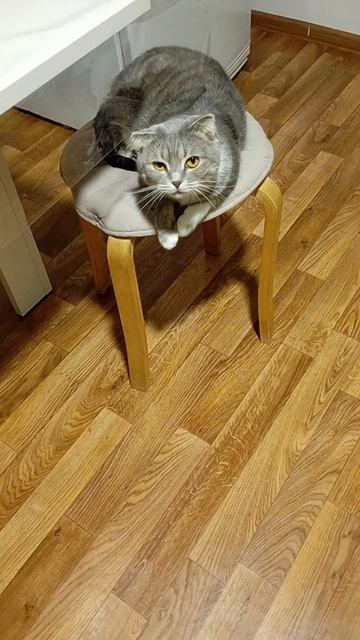 так и живём