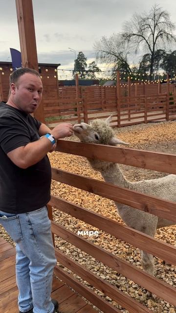 Copy_7A7C0B63-25AA-463E-ABD3-DEEB1EB0B2E9