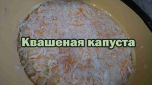 Классическая квашеная капуста
