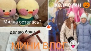 МИНИ ВЛОГ ХЕЛЛОИНА)🍁👻
