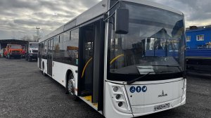 Автобус МАЗ 203047 2024 г.