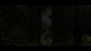 Гроза в лесу на дороге 🌧️ Спокойствие перед бурей для отдыха и сна