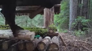 Построика полноценного и теплого убежища для выживания 7 днеи в