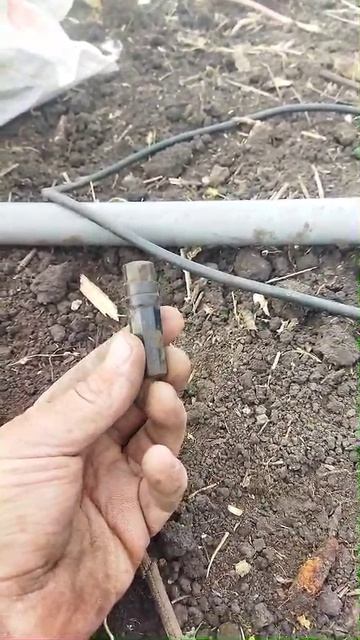 Смертный медальон. Находки на копе. смотреть онлайн