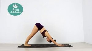 СУРЬЯ НАМАСКАР Приветствие солнцу - Йога с утра Елена Малова