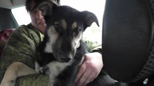 МАЛЫШУ ГОДИНА! Вспомнил как это было и сходил в лес по грибы!