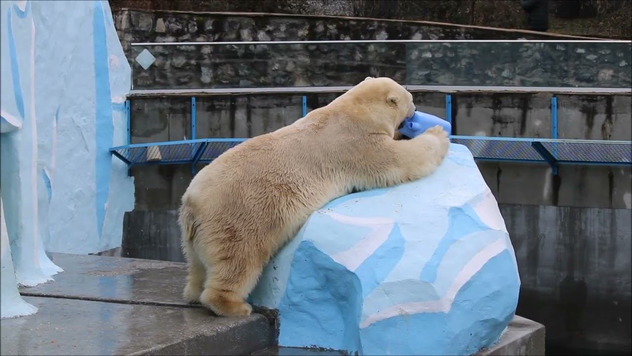 Кай сегодня играет с канистрой на суше 30.10.2025 смотреть онлайн