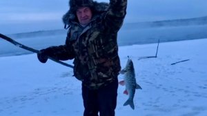 Мощный язь. 2 дня на льду. Кто же вышел из воды?