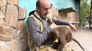 УЖАС! Ребенок зашел к слону, а Люсю бьют бутылкой ради видео!!?