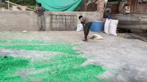 Переработка пластиковых бутылок. Результат удивил. Пакистан.