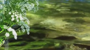 🇬🇧 Красивый замок на границе Англии и Уэльса, окруженный потрясающей природой