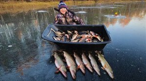 КРУТОЕ ПРОДОЛЖЕНИЕ, ПЕРВЫЙ ЛЁД ПОКОРЯЕТСЯ КЛАССНЫМИ ГОРБАЧАМИ! МАКСИМ ПАПКУ СНОВА ОБЛОВИЛ)!