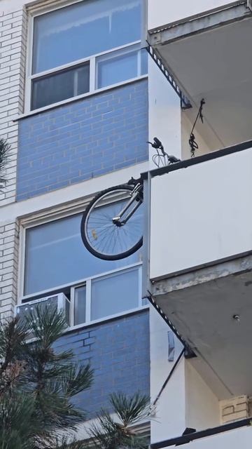 спорт площадка для белочек👍😁