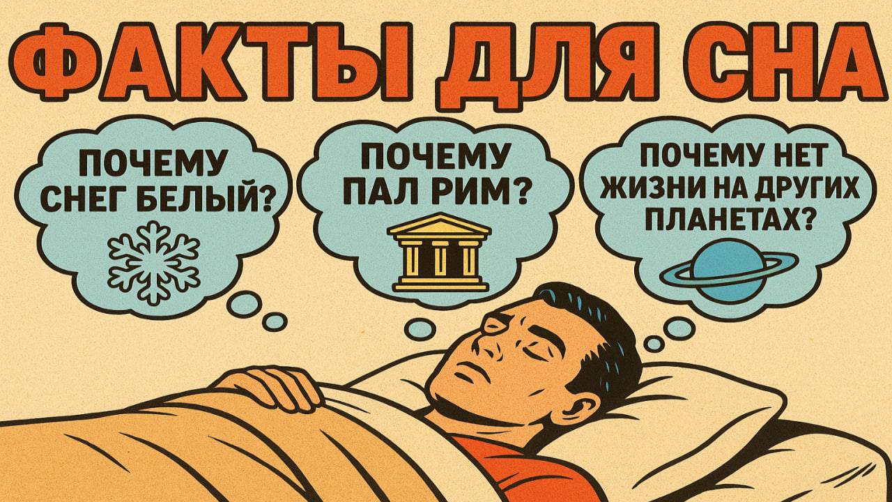 Факты чтобы быстро уснуть смотреть онлайн