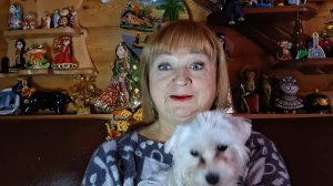 Будьте аккуратнее друзья и предупредите своих близких,особенно стариков...