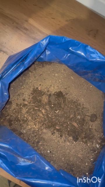 Огурцы дома зимой)